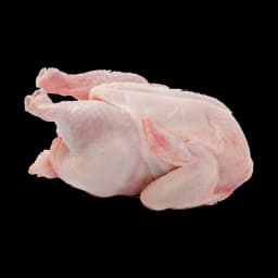 Chicken Meat image 1